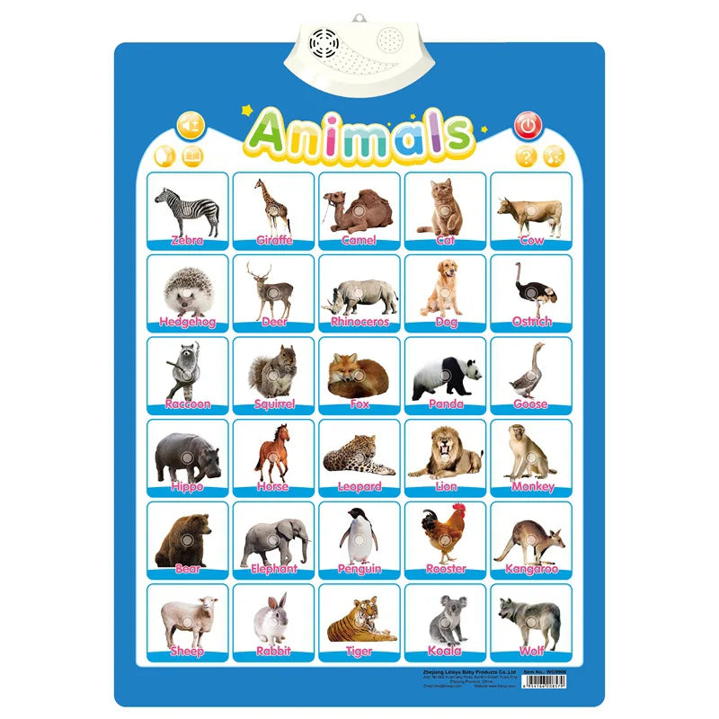 MNS Electronic English Alphabet